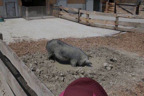 2022_Biberweekend_015