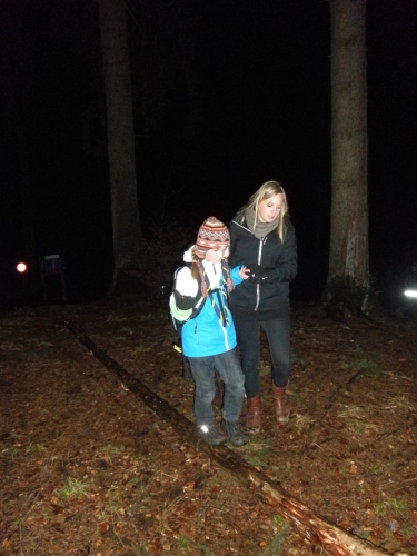 waldweihnachten11_10