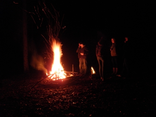 waldweihnachten11_11