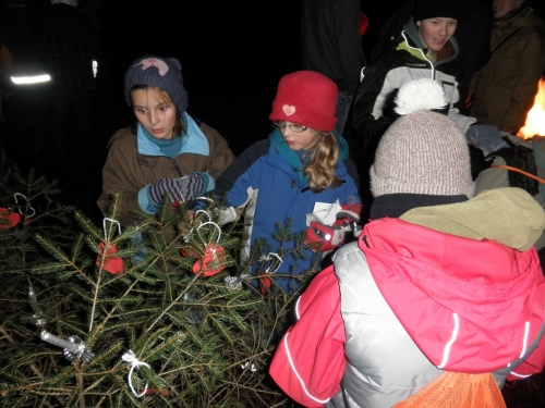 waldweihnachten11_12