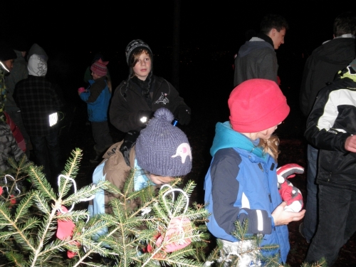 waldweihnachten11_13