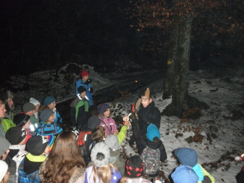 waldweihnachten12_23