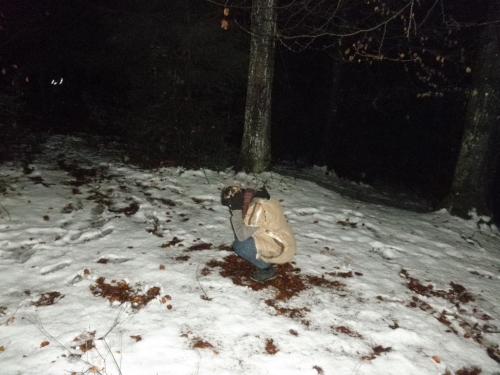 waldweihnachten12_30