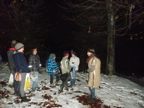 waldweihnachten12_31