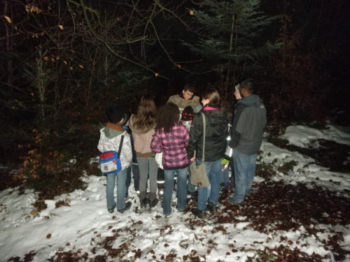 waldweihnachten12_32