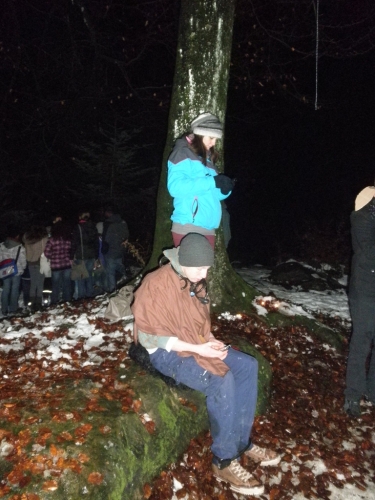 waldweihnachten12_33