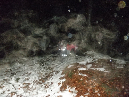 waldweihnachten12_42