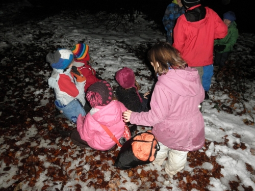 waldweihnachten12_44