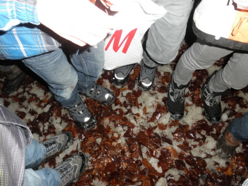 waldweihnachten12_48