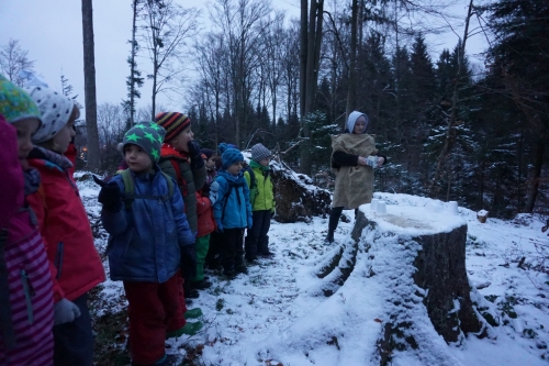 waldweihnachten18_bild011